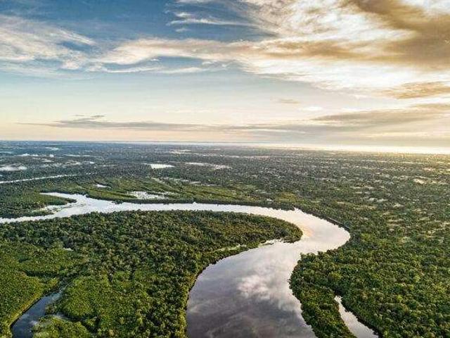 Fazenda venda em Região Geográfica Imediata de Manaus, Itamarati