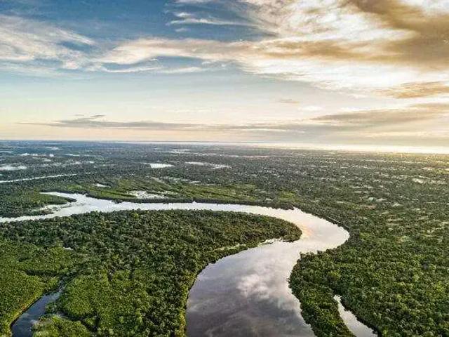Fazenda venda em Região Geográfica Imediata de Manaus, Itamarati