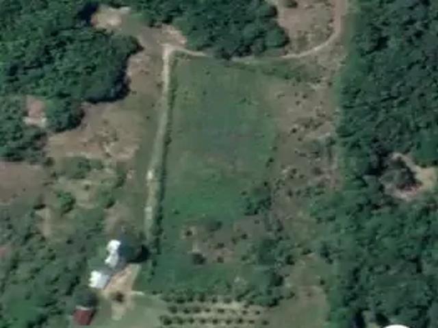 Fazenda venda em Região Geográfica Imediata de Manaus, Itamarati