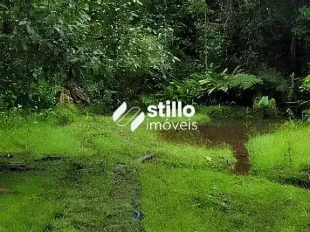 Fazenda venda em Região Geográfica Imediata de Manaus, Itamarati