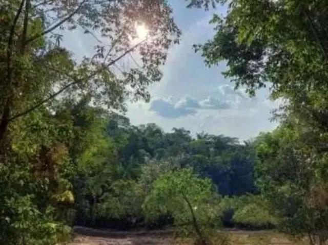 Fazenda venda em Região Geográfica Imediata de Manaus, Itamarati