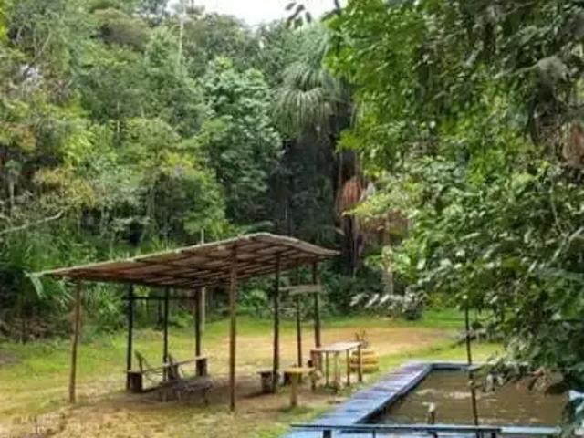 Fazenda venda em Região Geográfica Imediata de Manaus, Itamarati