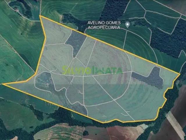 Fazenda venda em Região Geográfica Imediata de Maringá, Mandaguaçu