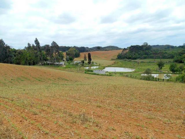 Fazenda venda em Região Geográfica Imediata de Curitiba, Região Metropolitana de Curitiba
