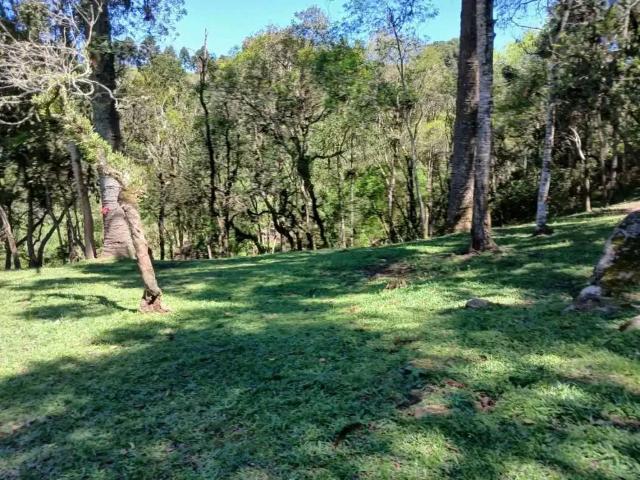 Fazenda venda em Região Geográfica Imediata de Curitiba, Região Metropolitana de Curitiba