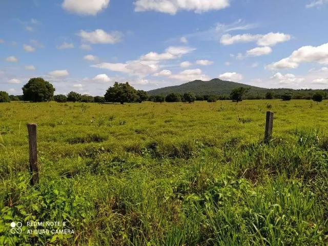 Fazenda venda em Região Geográfica Imediata de Governador Valadares, Governador Valadares