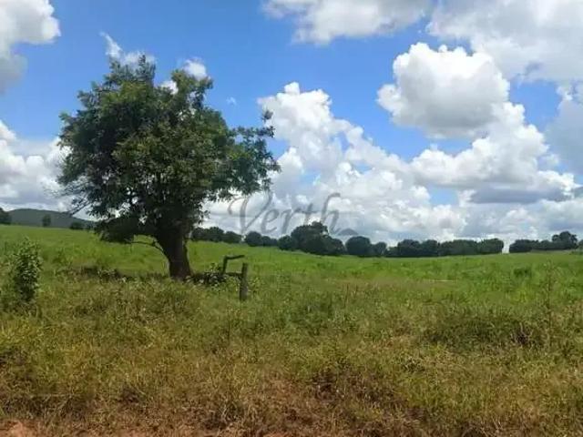 Fazenda venda em Região Geográfica Imediata de Janaúba, Manga