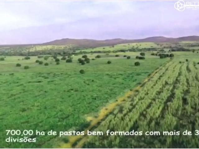 Fazenda venda em Região Geográfica Imediata de Catalão, Davinópolis