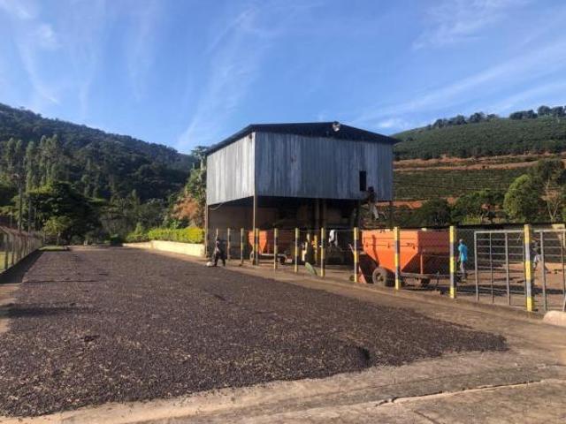 Sítio e chácara venda em Região Geográfica Imediata de Manhuaçu, Manhuaçu