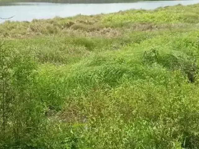 Fazenda venda em Manoel Emidio, Região Nordeste