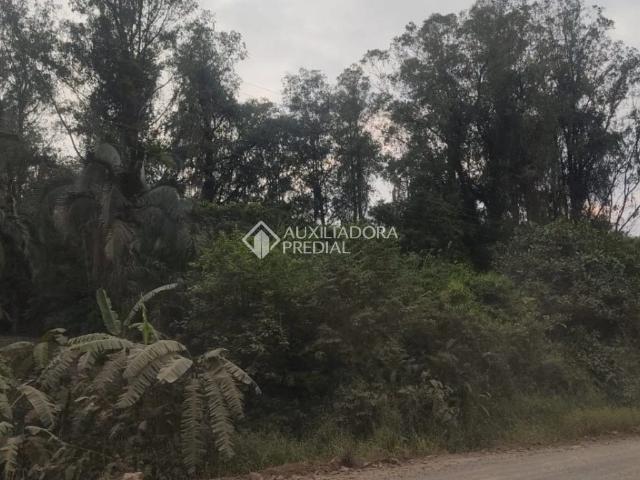 Fazenda venda em Barra do Ouro, Maquiné
