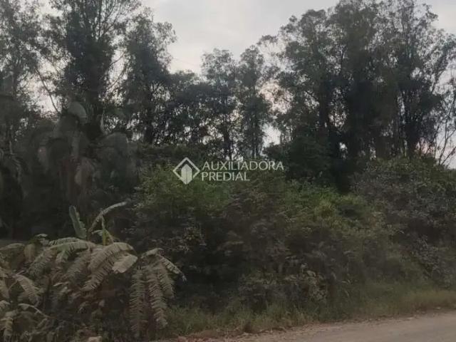 Fazenda venda em Região Geográfica Imediata de Tramandaí - Osório, Aglomeração Urbana do Litoral Norte