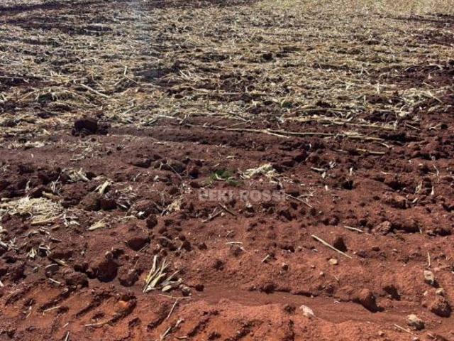 Sítio e chácara venda em Região Geográfica Imediata de Londrina, Londrina