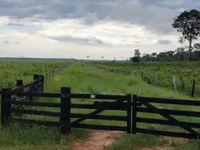 Fazenda venda em Região Geográfica Imediata de Sinop, Marcelândia