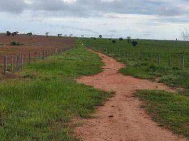 Fazenda venda em Marcelândia, Região Geográfica Intermediária de Sinop