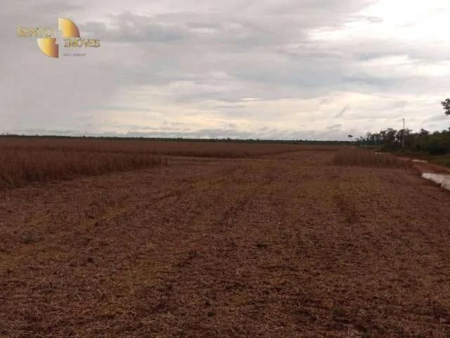 Fazenda venda em Região Geográfica Imediata de Sinop, Marcelândia