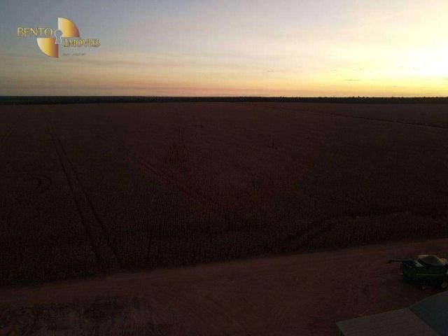 Fazenda venda em Marcelândia, Região Geográfica Intermediária de Sinop