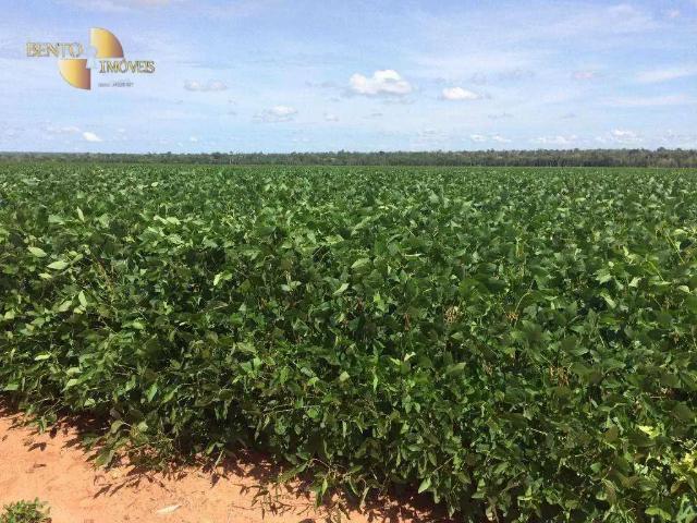Fazenda venda em Região Geográfica Imediata de Sinop, Marcelândia