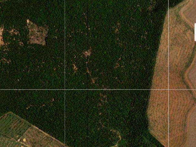 Fazenda venda em Marcelândia, Região Geográfica Intermediária de Sinop