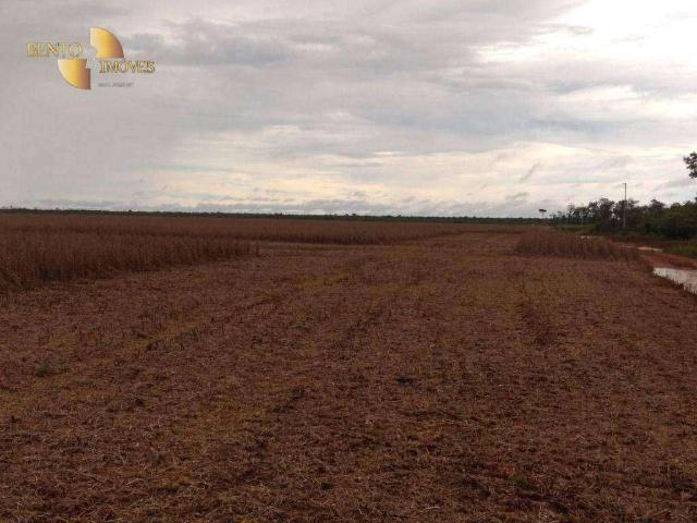 Fazenda venda em Marcelândia, Região Geográfica Intermediária de Sinop