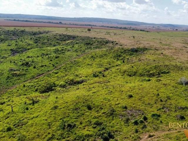 Fazenda venda em Marcelândia, Região Geográfica Intermediária de Sinop