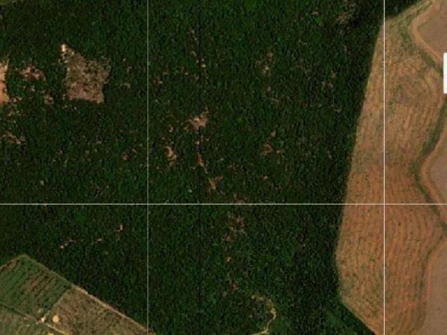 Fazenda venda em Região Geográfica Imediata de Sinop, Marcelândia