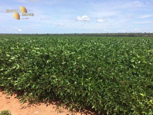 Fazenda venda em Região Geográfica Imediata de Sinop, Marcelândia