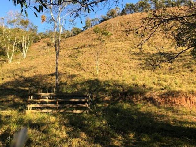 Sítio e chácara venda em Região Geográfica Imediata de Santa Bárbara - Ouro Preto, Mariana