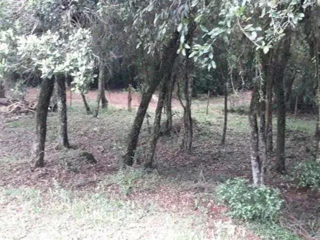 Fazenda venda em Região Geográfica Imediata de Porto Alegre, Mariana Pimentel