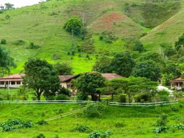 Fazenda venda em Região Geográfica Imediata de Santa Bárbara - Ouro Preto, Mariana