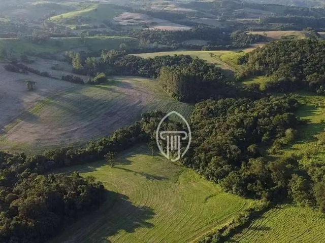 Fazenda venda em Região Geográfica Imediata de Apucarana, Marilândia do Sul