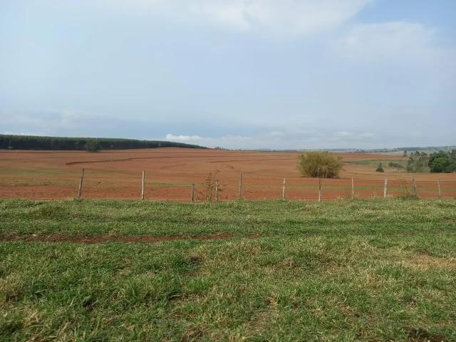 Fazenda venda em Região Imediata de Marília, Marília
