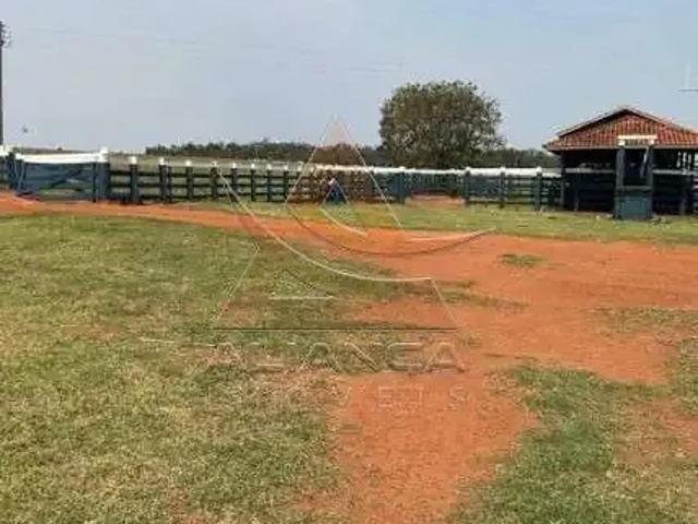 Fazenda venda em Região Imediata de Marília, Marília