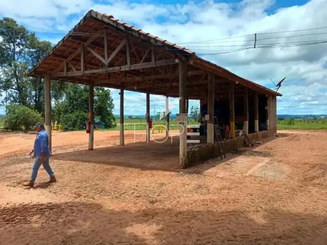 Fazenda venda em Região Imediata de Marília, Marília