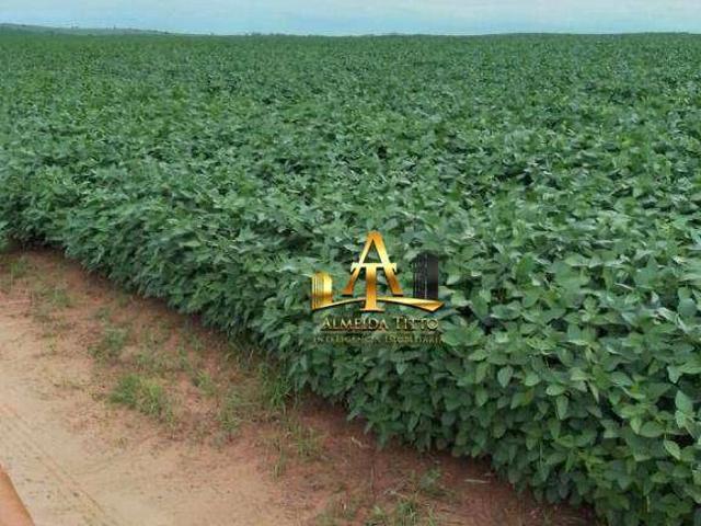 Fazenda venda em Alto Cafezal, Marília