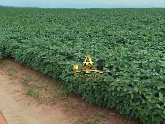 Fazenda venda em Região Imediata de Marília, Marília