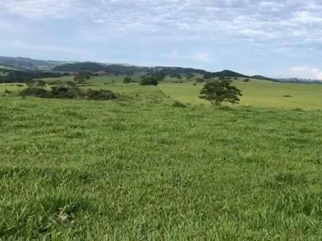 Fazenda venda em Marília