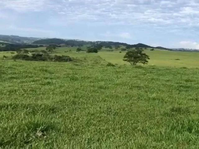 Fazenda venda em Região Imediata de Marília, Marília