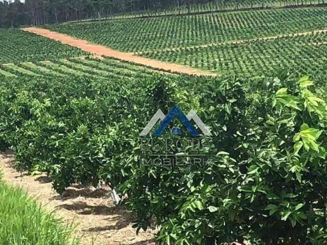 Fazenda venda em Região Imediata de Marília, Marília