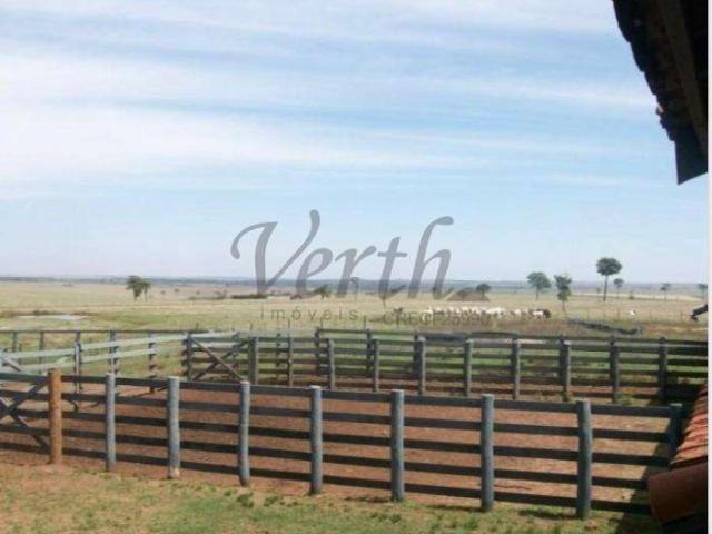 Fazenda venda em Região Imediata de Marília, Marília