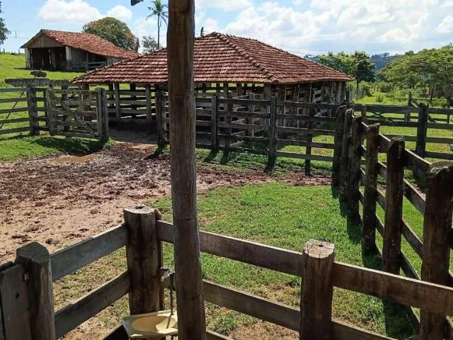 Fazenda venda em Vila Mariana, Marília