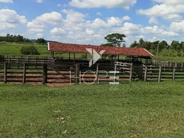 Fazenda venda em Região Imediata de Marília, Marília
