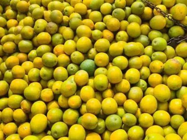 Fazenda venda em Região Imediata de Marília, Marília