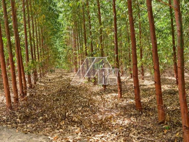 Fazenda venda em Rosália, Marília