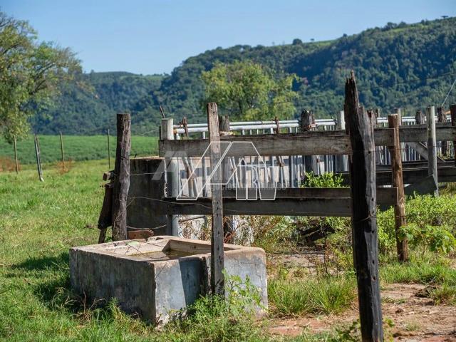 Fazenda venda em Palmital, Marília