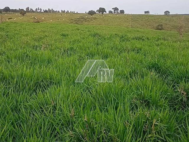 Fazenda venda em Padre Nóbrega, Marília