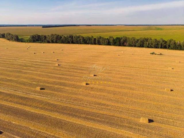 Fazenda venda em Maringá, Região Geográfica Intermediária de Maringá