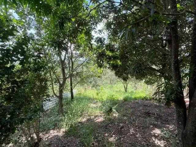 Fazenda venda em Região Geográfica Imediata de Belo Horizonte, Região Metropolitana de Belo Horizonte