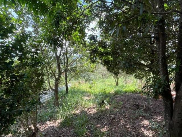 Fazenda venda em Tangará, Mário Campos