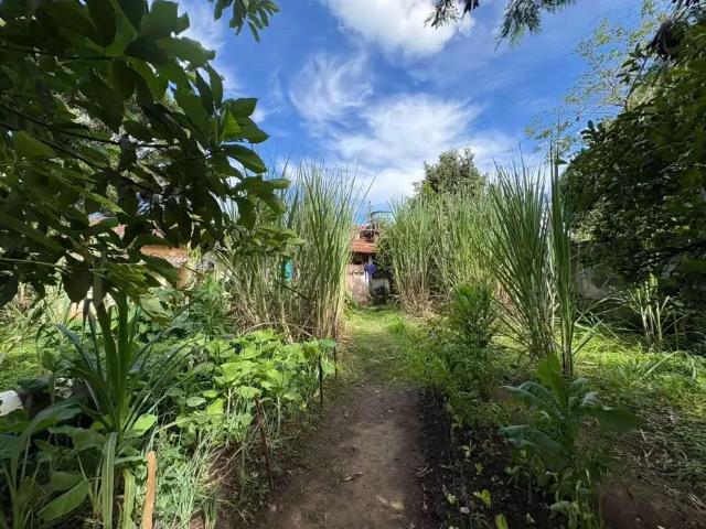 Fazenda venda em Região Geográfica Imediata de Belo Horizonte, Região Metropolitana de Belo Horizonte